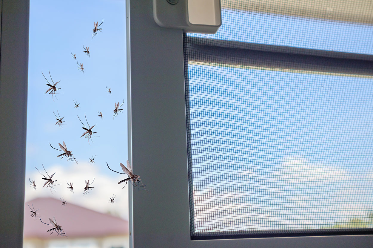 Garde-corps, Garde-corps Tarn-et-Garonne, Pergolas, Pergolas Tarn-et-Garonne, Pièces détachées Autoporte, Pièces détachées Autoporte Tarn-et-Garonne, Portail, Portail Tarn-et-Garonne, Porte de garage, Porte de garage Tarn-et-Garonne, Volets, Volets Tarn-et-Garonne